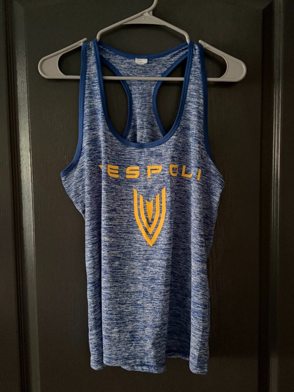 Vespoli Womens Large Tank Top